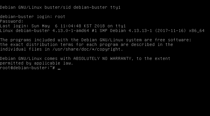17 (Debian10 install) First login.png